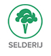selderij